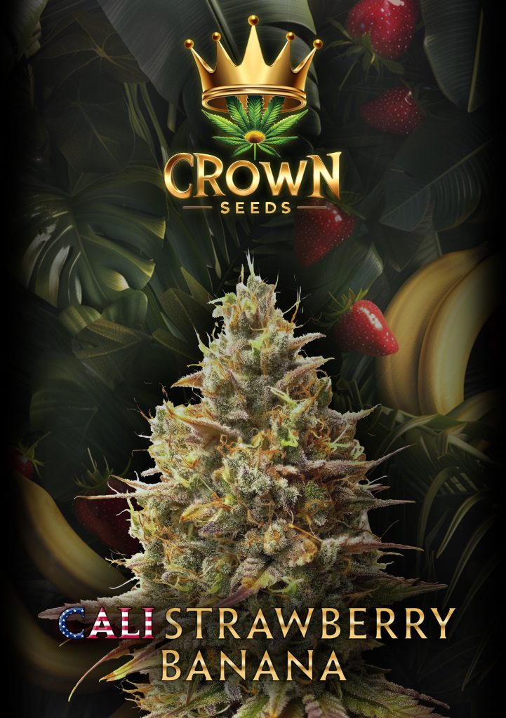 Crownseeds Cali Strawberry Banana (3x)