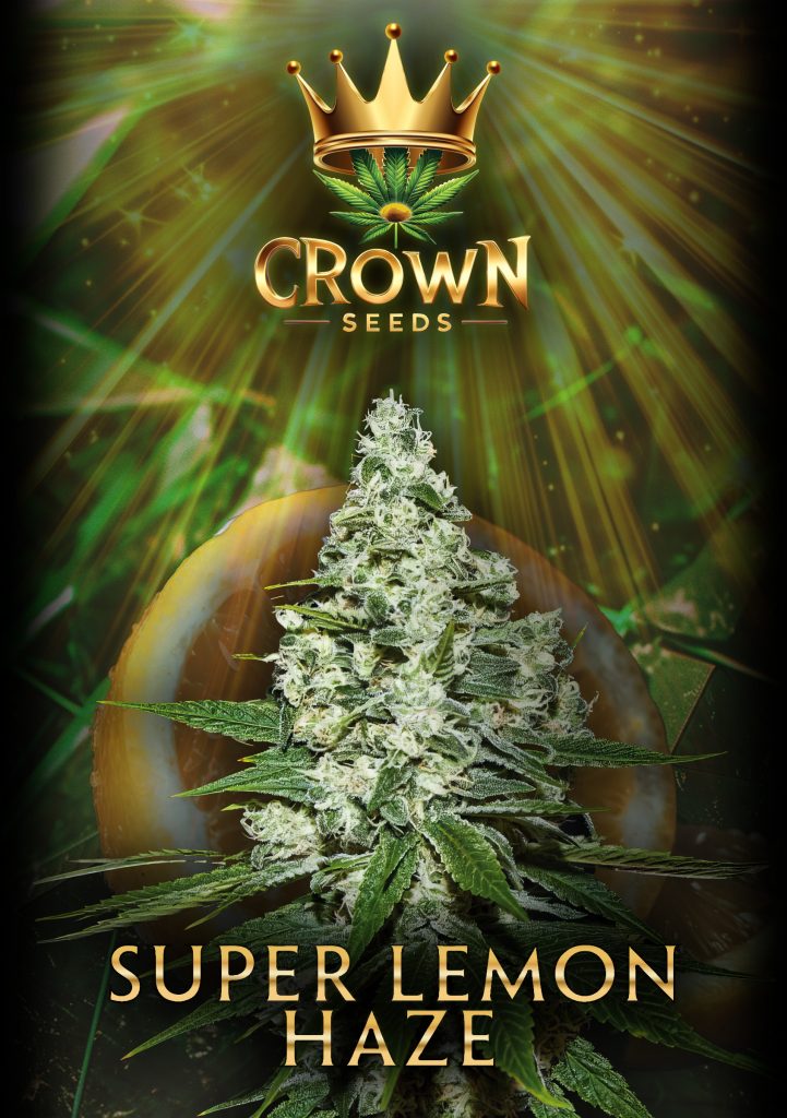 Crownseeds Super Lemon Haze (3x)