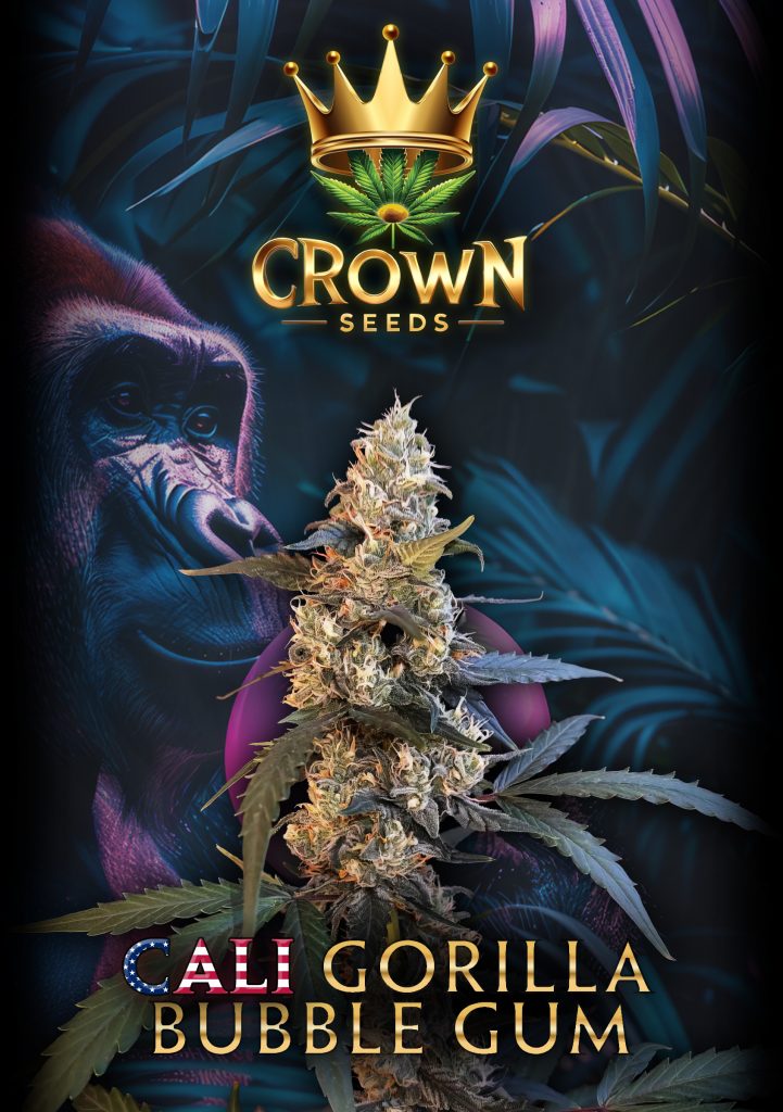 Crownseeds Cali Gorilla Bubblegum (3x)