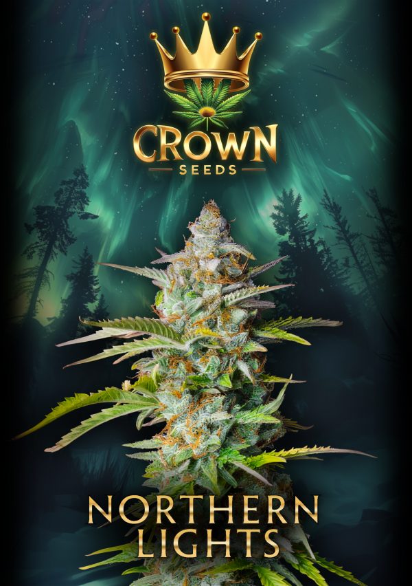Crownseeds Northern Lights Automatic (3x)