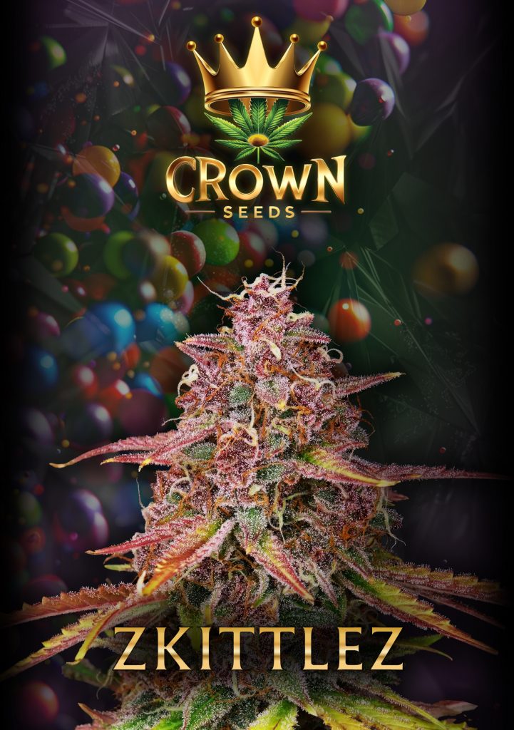 Crownseeds Zkittlez (3x)