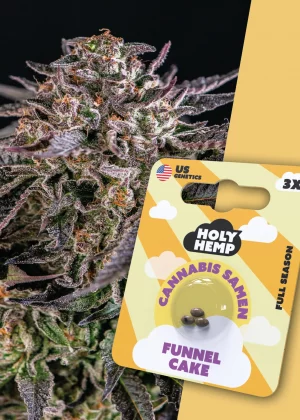 Funnel Cake | Cali Seeds - Hochpotente feminisierte THC-Samen
