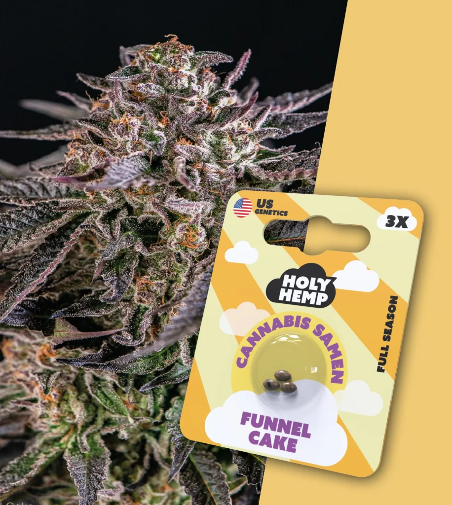Funnel Cake | Cali Seeds - Hochpotente feminisierte THC-Samen