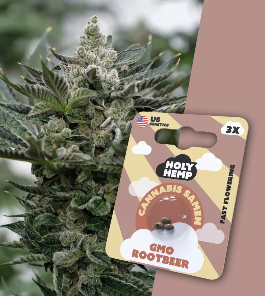 GMO Rootbeer | Cali Seeds - Hochpotente feminisierte THC-Samen