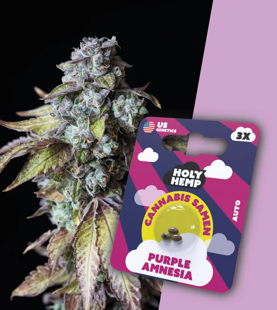 Purple Amnesia Cali (3x)