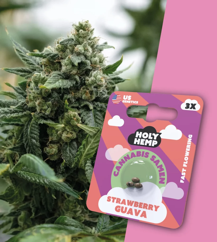 Strawberry Guava Cali Seeds (3x)